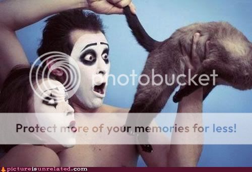 wtf-pics-mime-vets.jpg