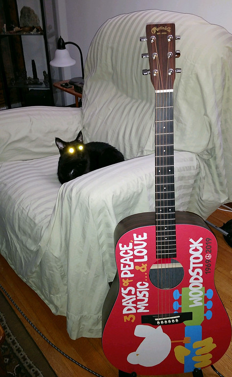 guitar%20and%20luci-XL.jpg