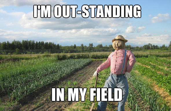 im-outstanding-in-my-field-scarecrow-pun.png