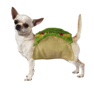 halloween-dog-costume-taco.jpg