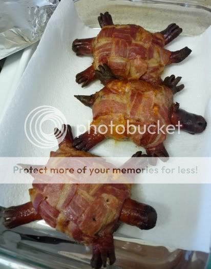 baconturtles.jpg