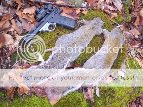 handgun_squirrels.jpg