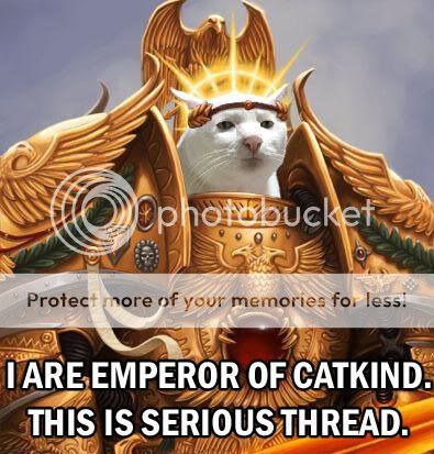 EmperorSeriousCat-1.jpg