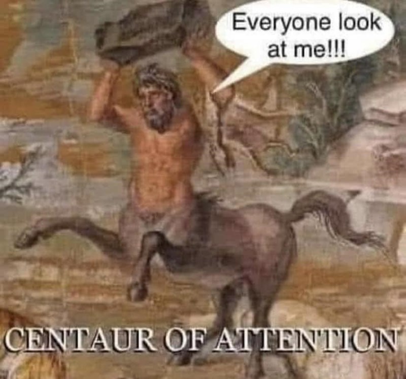 animal-everyone-look-at-centaur-attention