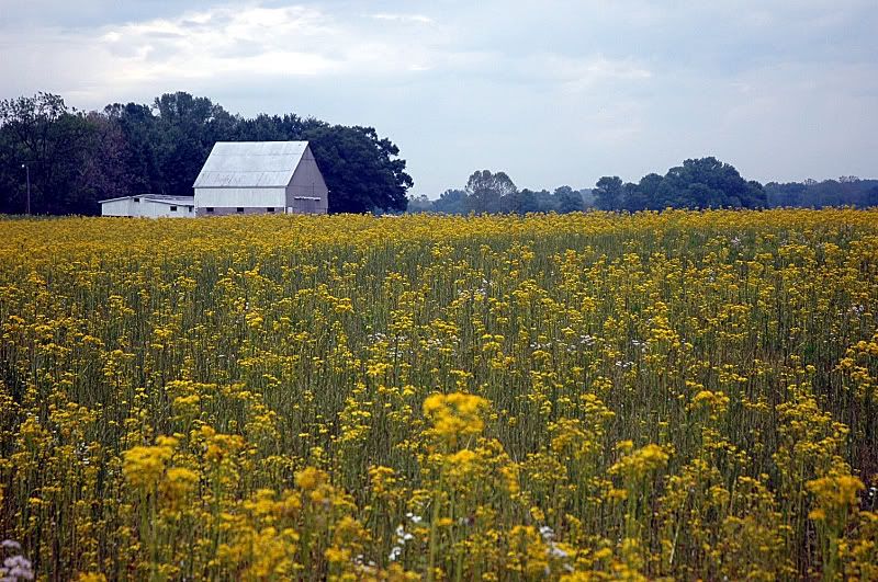 Barn2.jpg