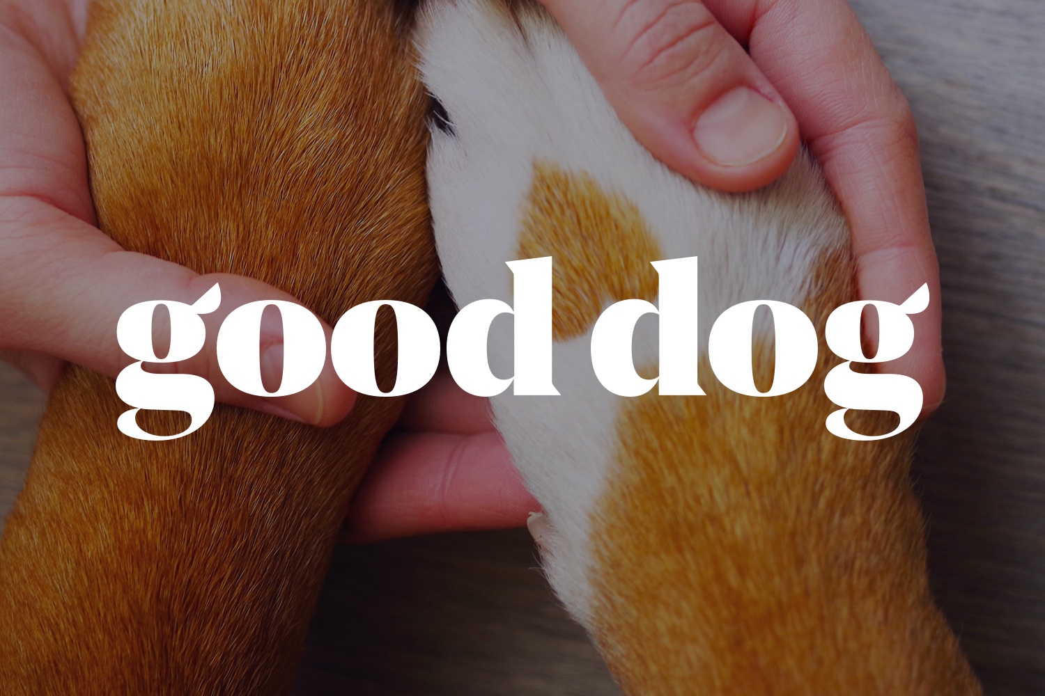 www.gooddog.com