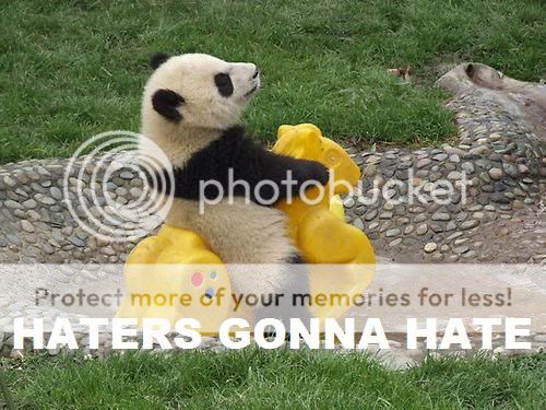 haters-gonna-hate-panda.jpg