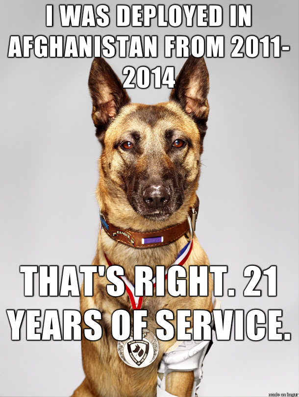 war-hero-dog-145483.png