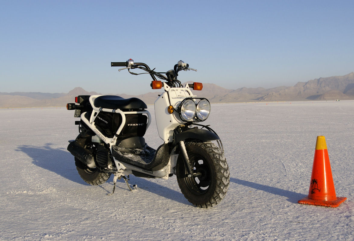 Honda_Ruckus_white.jpg