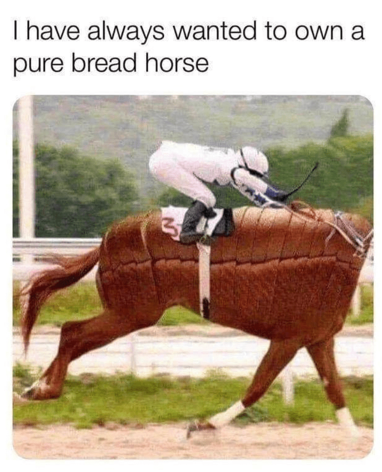 have-always-wanted-own-pure-bread-horse-3