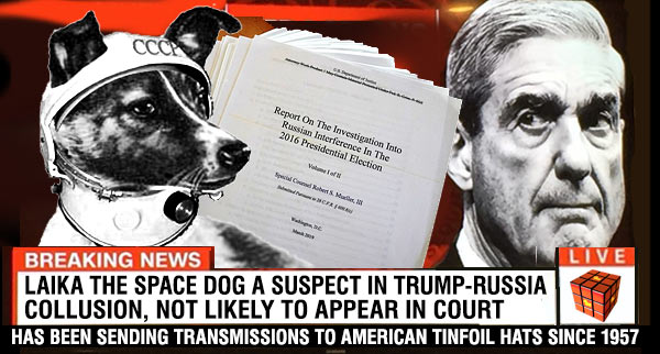 Laika_Mueller_Collusion.jpg