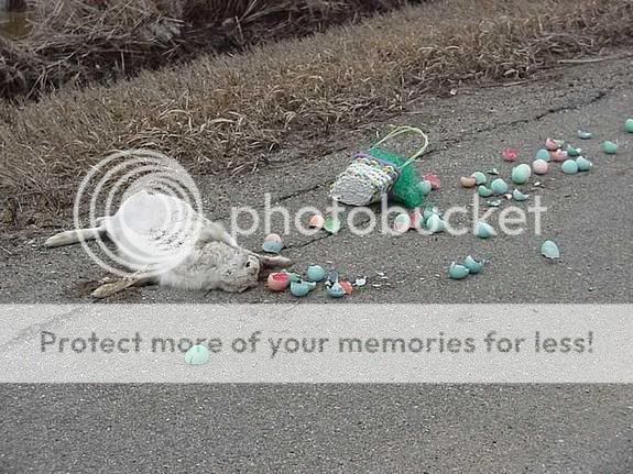 easterroadkill.jpg