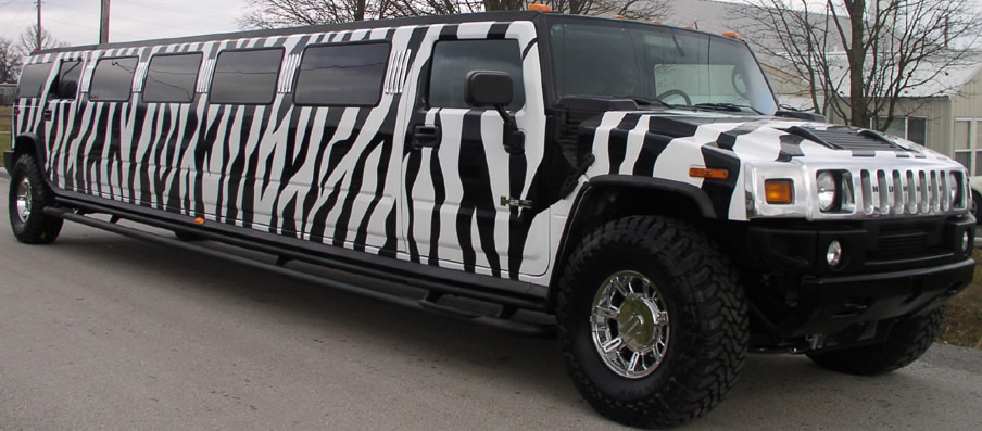 zebra-hummer-big-pic.jpg