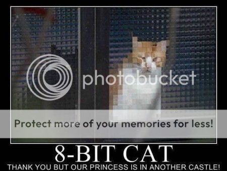 8-bit-cat-450x339.jpg