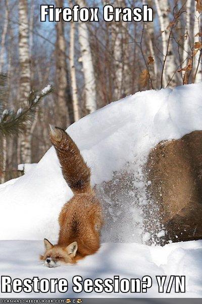 20080610_firefox-crash-snow.jpg