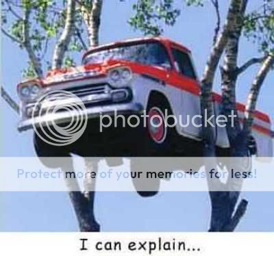 car_in_tree.jpg