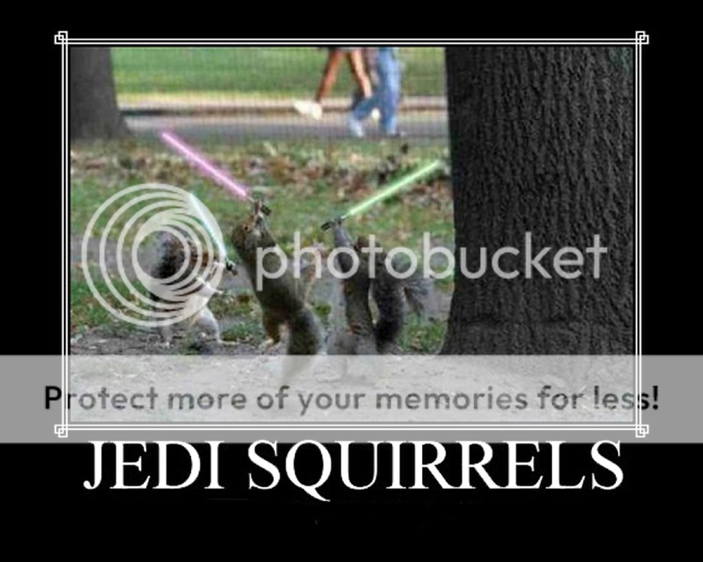 JediSquirrels.jpg