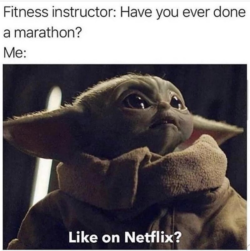 cat-fitness-instructor-have-ever-done-marathon-like-on-netflix