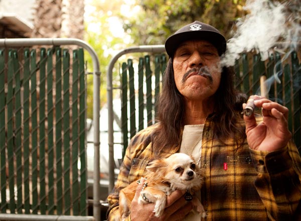 Danny-Trejo-Chihuahua.jpg