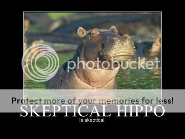 skeptical-hippo.jpg