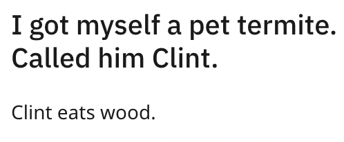 got-myself-pet-termite-called-him-clint-clint-eats-wood