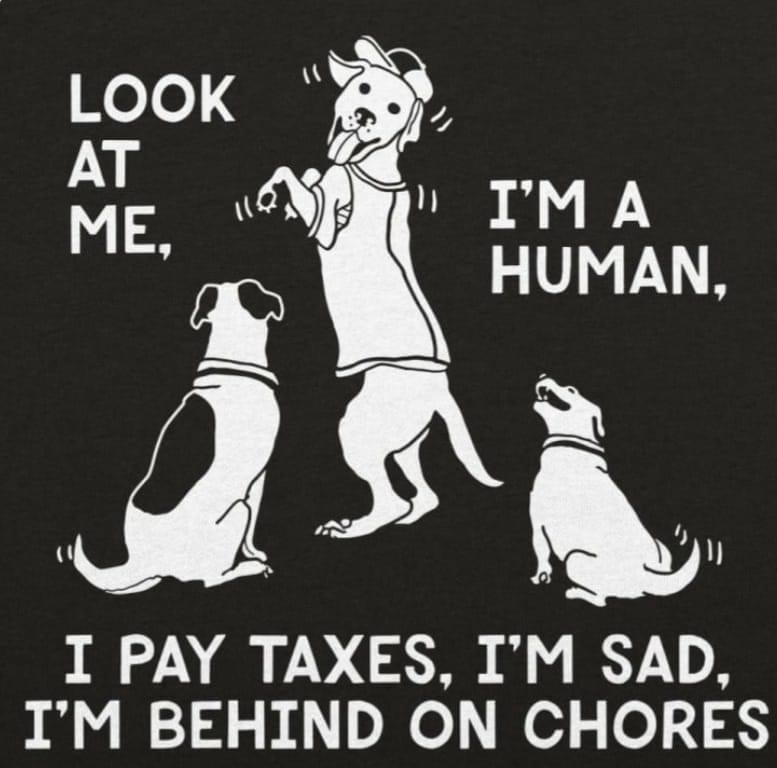 look-at-human-pay-taxes-sad-behind-on-chores