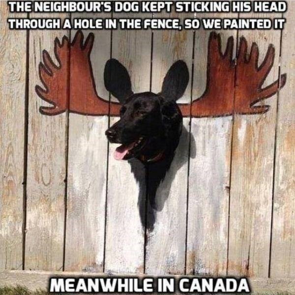 meanwhile-in-canada