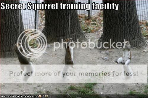 funny-pictures-secret-squirrels.jpg