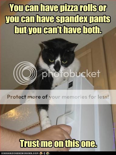 funny-pictures-cat-gives-you-advice.jpg