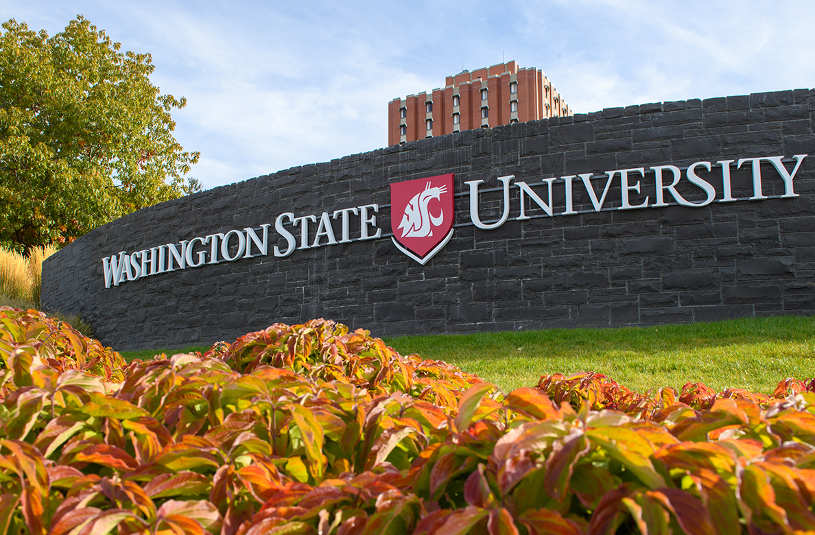 news.wsu.edu