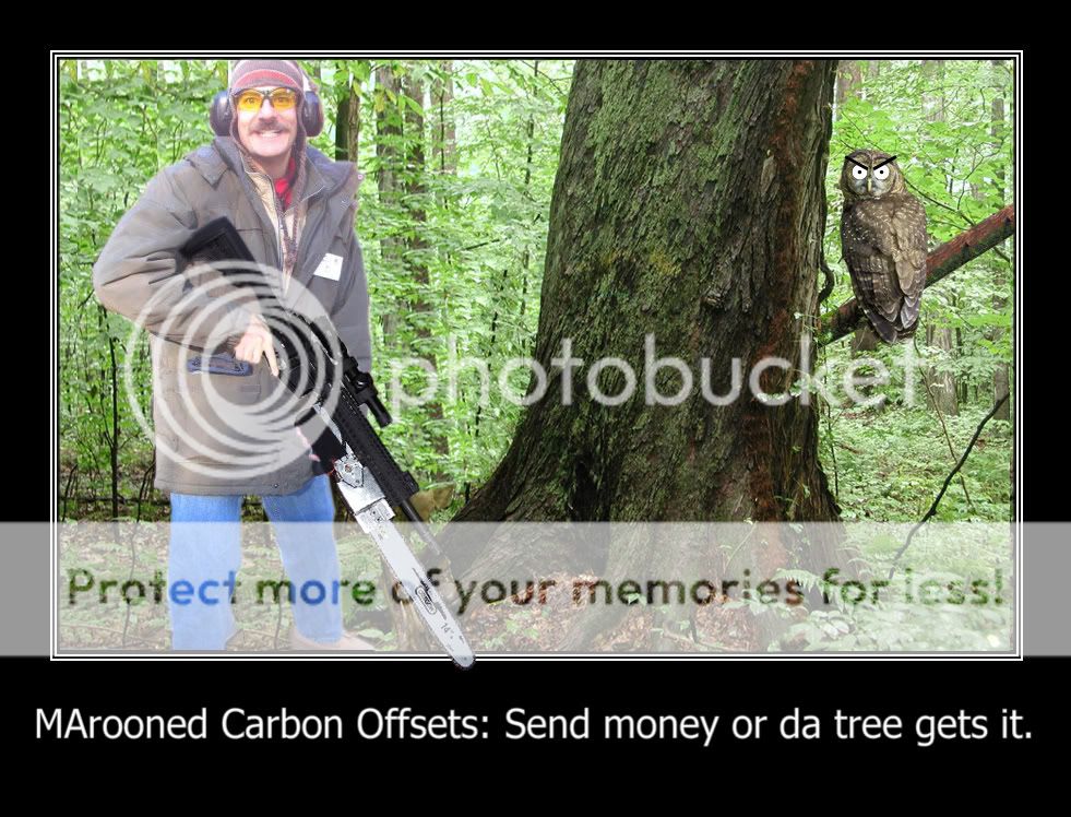 CARBON_OFFSET-1.jpg