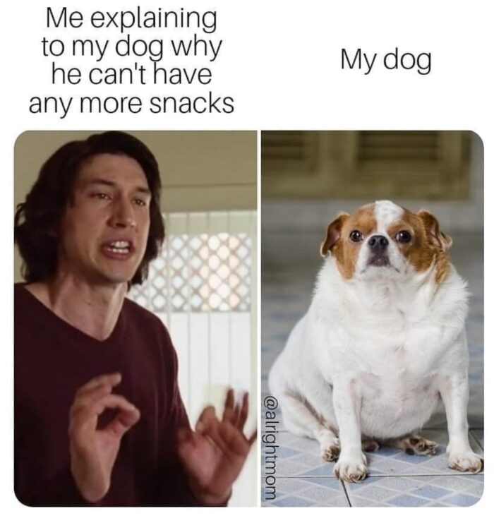 dog-meme-1-e1585327102696.jpg