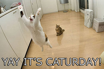 Caturday_YayJoyJumpLOLM.jpg