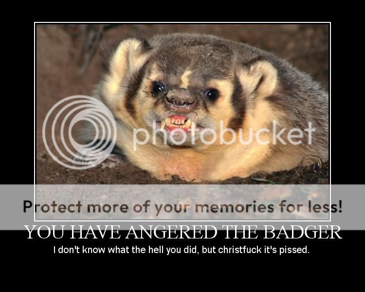 you-have-angered-the-badger.jpg