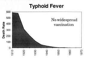 typhoid.gif