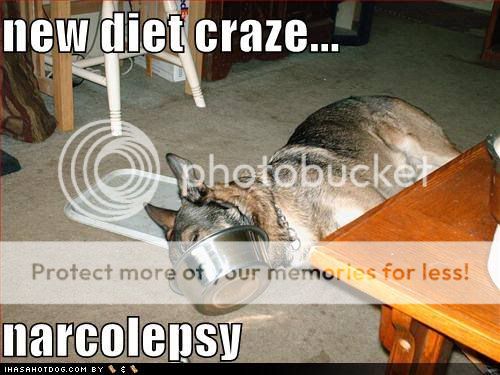 Dietcraze.jpg