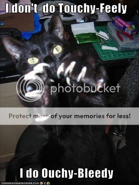 funny-pictures-cat-threatens-you.jpg