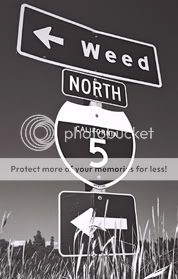 4480weed_sign.jpg