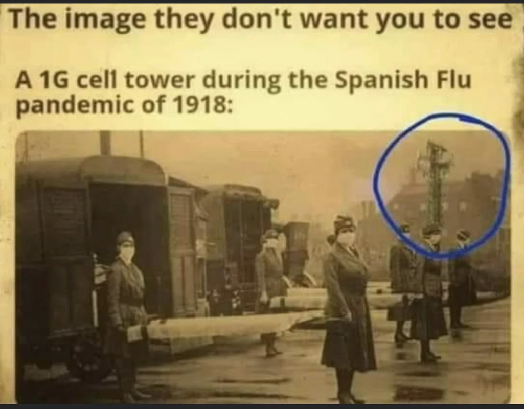 spanishflu.png