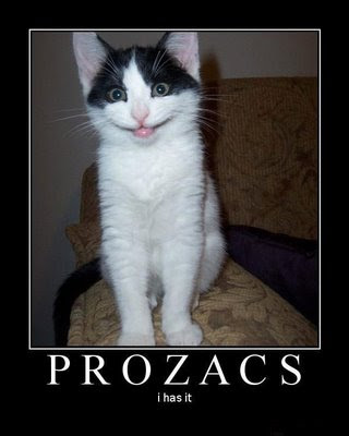 Prozac+cat.jpg