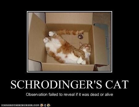 ab89ace5a3f992a1e2f2d2e6d4ac9c6c--schrodingers-cat-mix.jpg