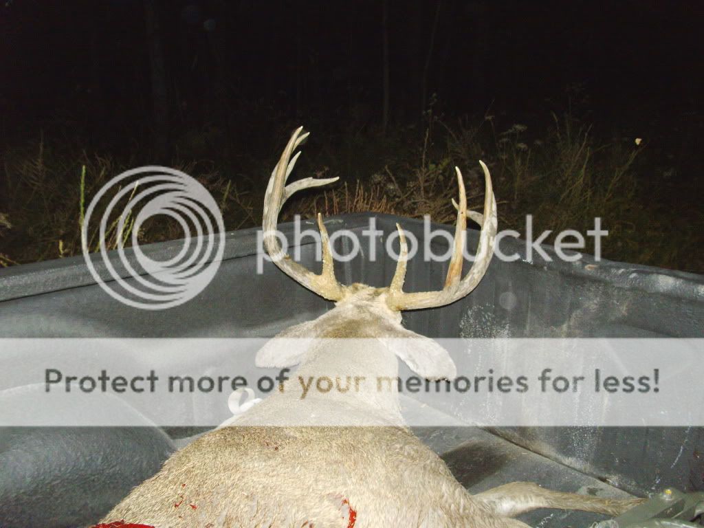 Deerpics085.jpg