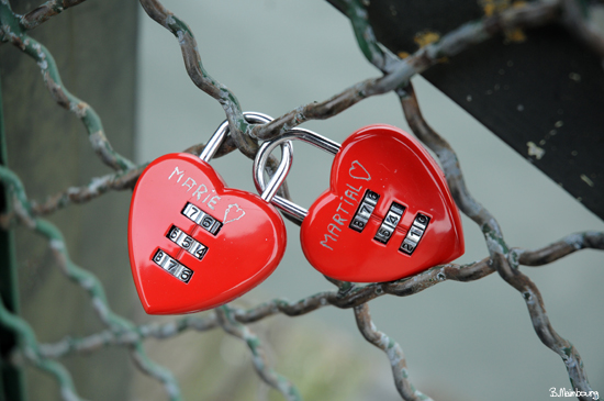 Marie-Martial-Cadenas-Pont-des-arts-Paris.jpg