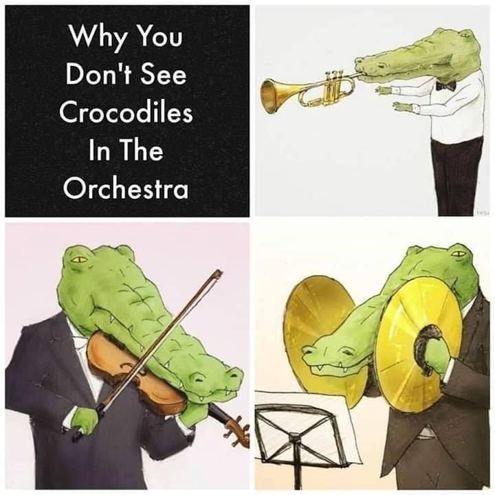 why-dont-see-crocodiles-orchestra