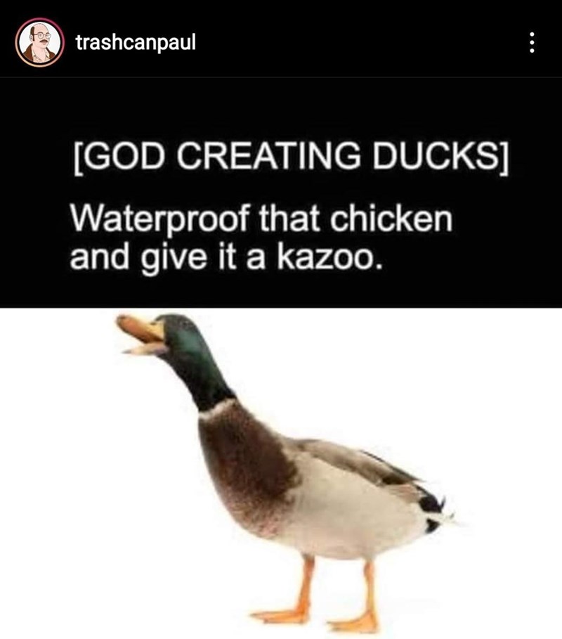 goose-trashcanpaul-god-creating-ducks-waterproof-chicken-and-give-kazoo