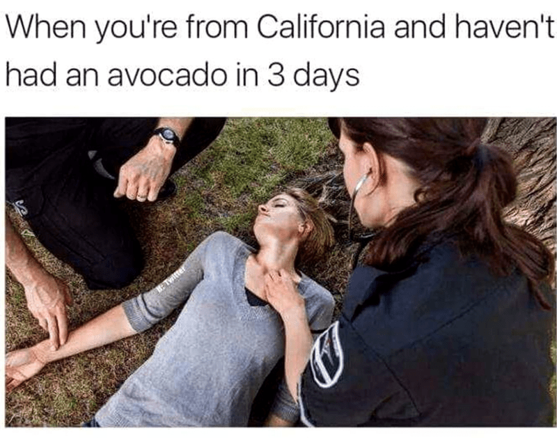 california-and-havent-had-an-avocado-3-days