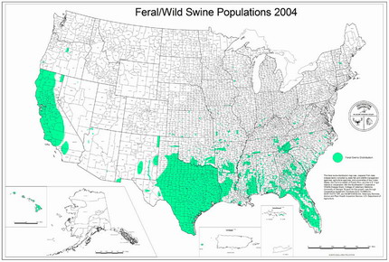 feral_hog_distribution_us.jpg