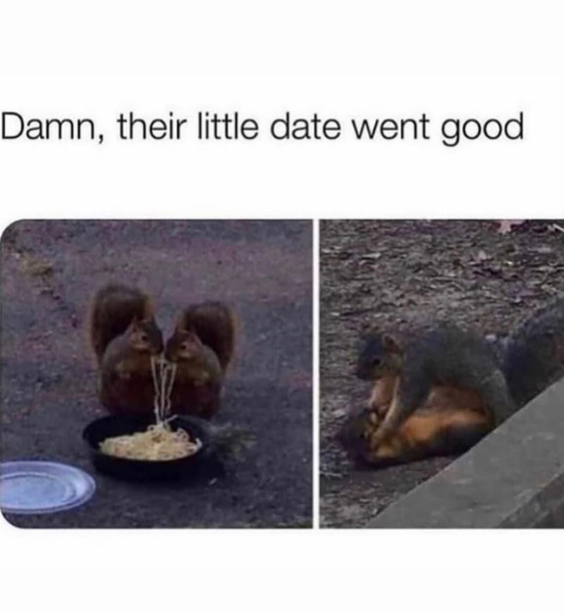 animal-damn-their-little-date-went-good