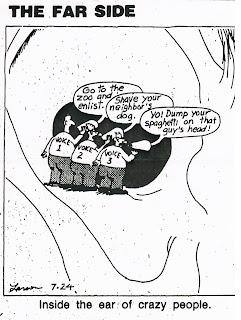 farside.jpg