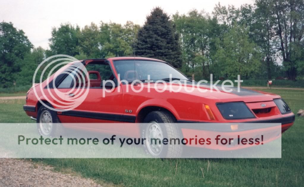 86Mustang.jpg